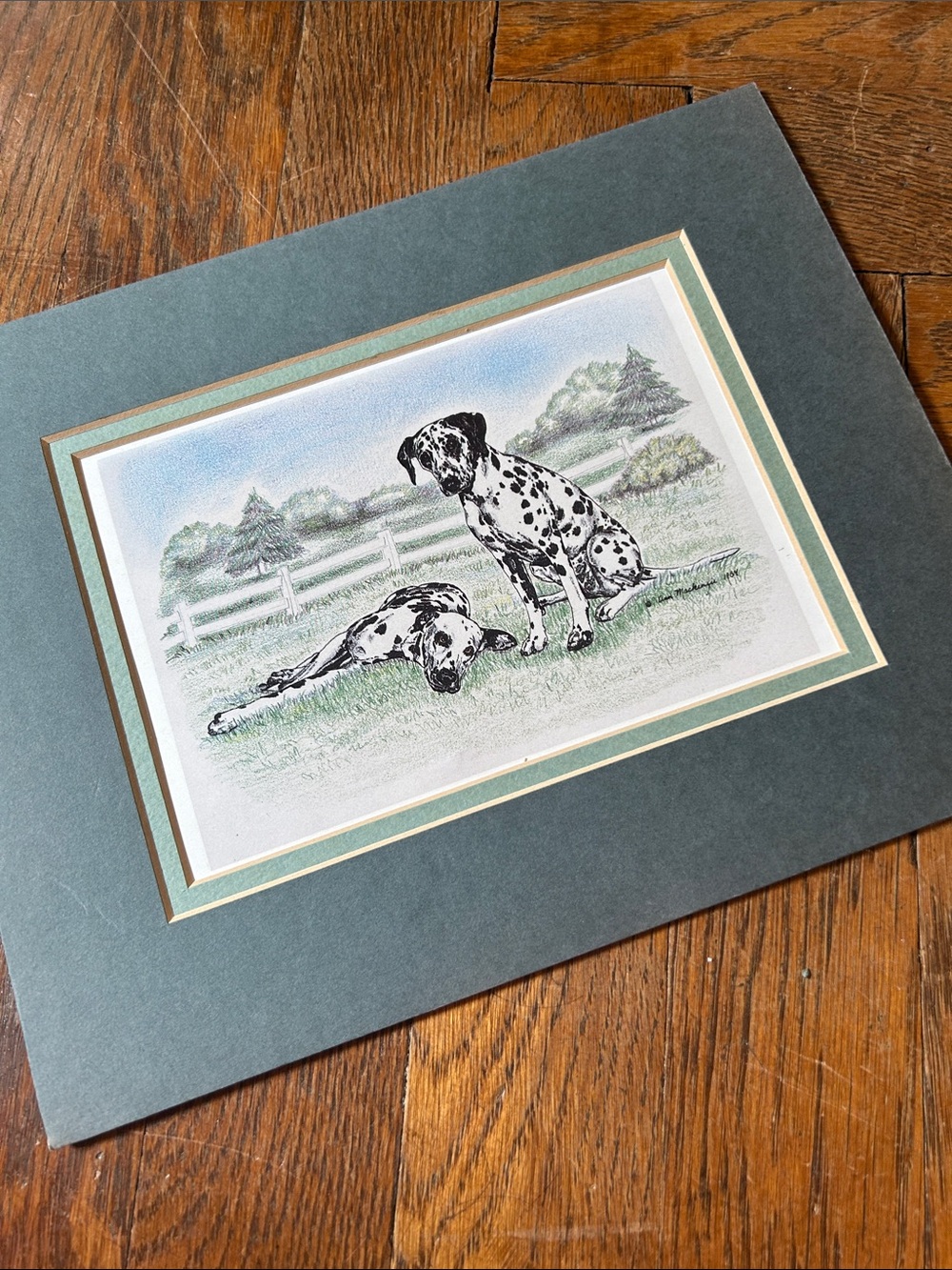 1984 Dalmatian dog print, 5x7 double matted to 8x10